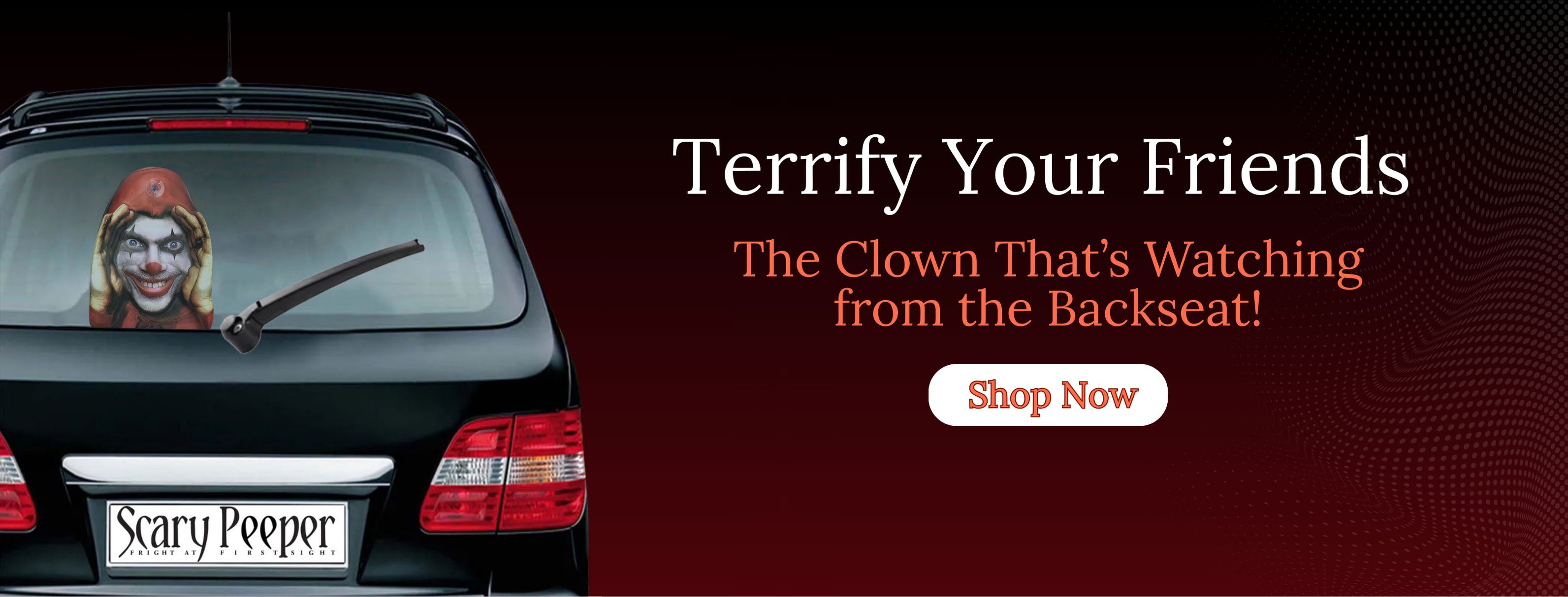 Black_and_Wsssssshite_Car_Sale