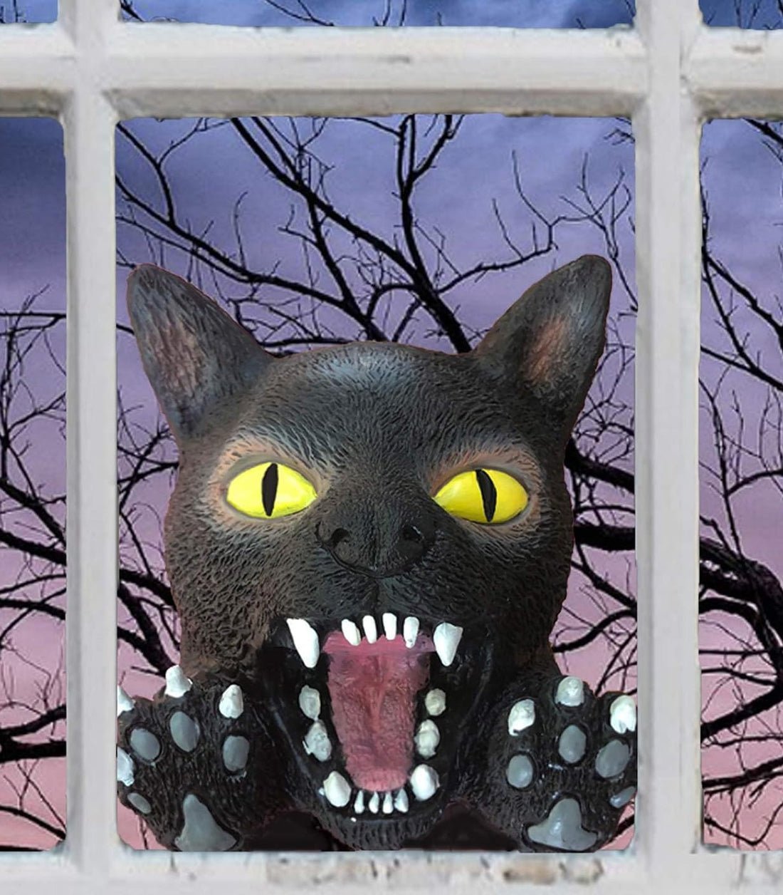 Scary Peeper Creature Peeper Crazy Cat