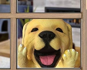 Scary Peeper Creature Peeper Labrador Puppy